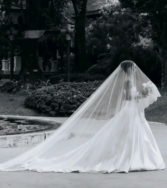 Lace wedding veil cathedral