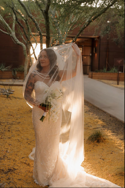 Blusher Veil with long blusher