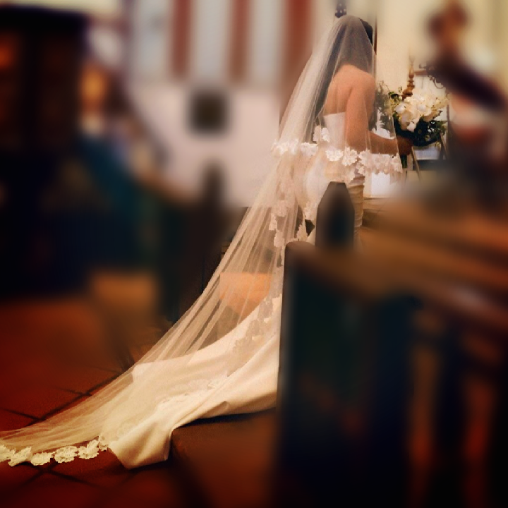Enfleuré - Lace wedding veil