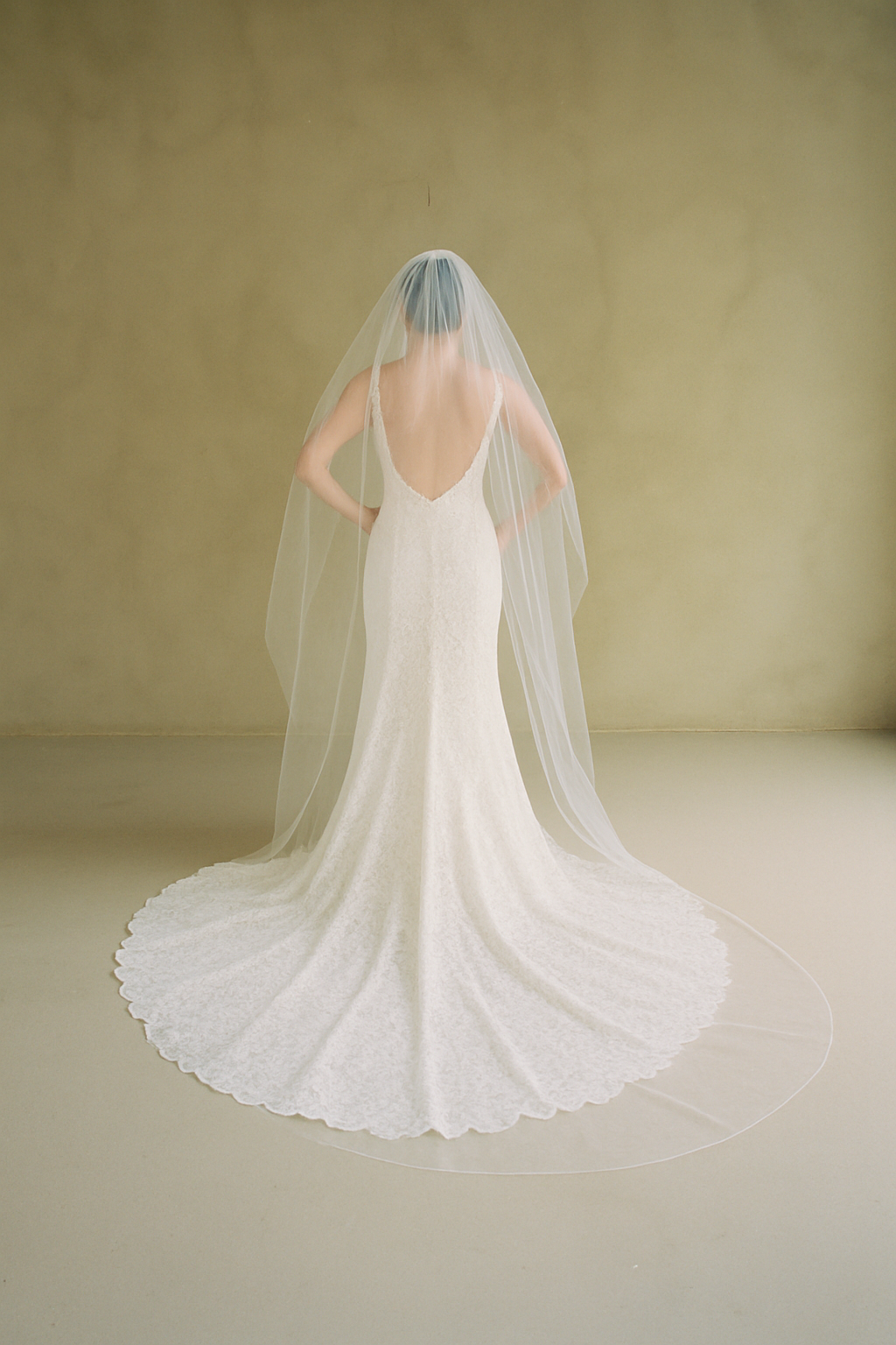Wedding veil with blusher