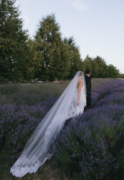 Alexandria - Blusher lace veil